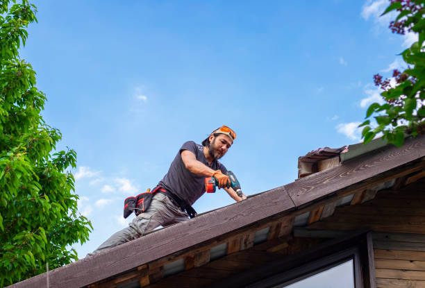 Best Asphalt Shingle Roofing  in Beresford, SD